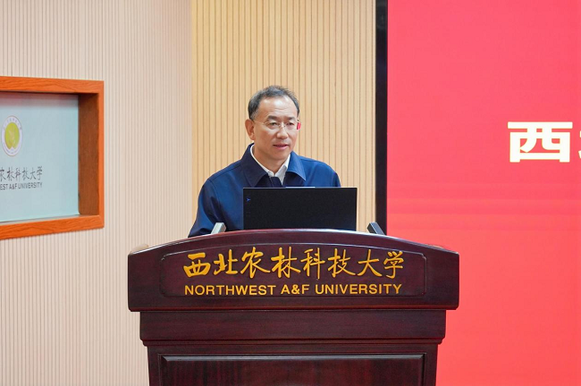图片 2.png
