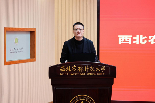 图片 8.png