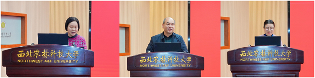图片 7.png