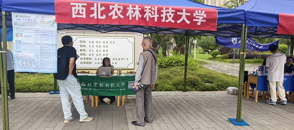 校友王远兰老师认真咨询中.jpg