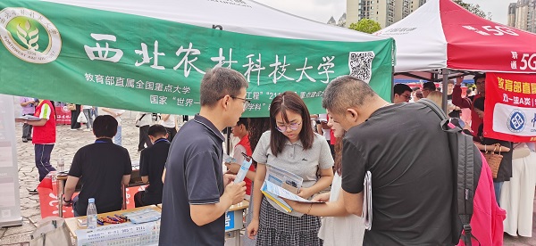 周岑银老师认真咨询中.jpg